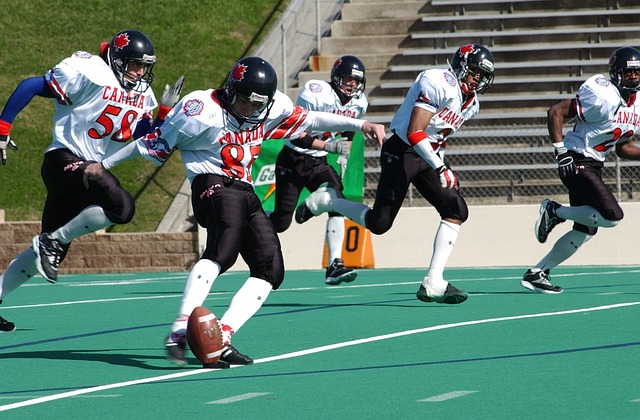 队比利时参 队比利时参