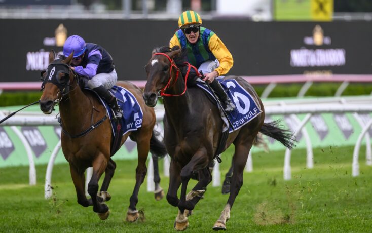 即便是運動 即便是運動