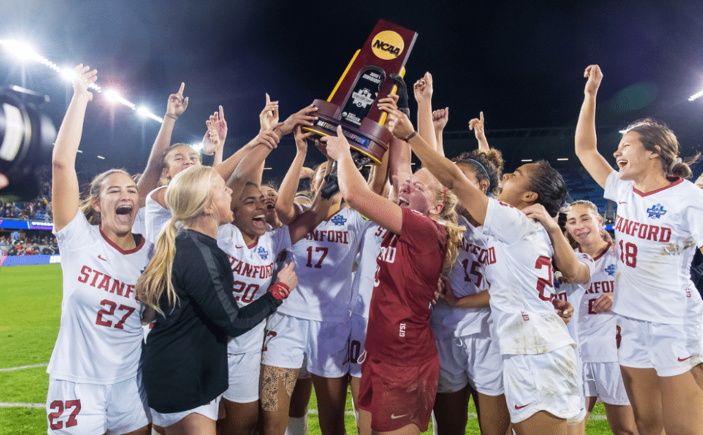 技赢来无数 技赢来无数